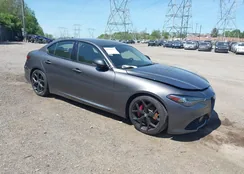 ZARFAMAN2L7624277: 42159561