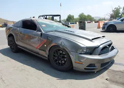 1ZVBP8AM4E5221936: 42164969