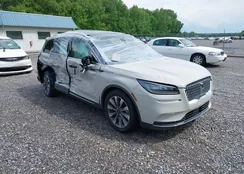 5LMCJ2C93LUL28020: 42166518