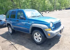 1J4GL48K36W119096: 42166779