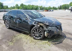 19UUB2F55GA005341: 42166089