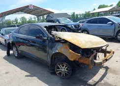 5NPE24AF2HH594003: 42166440