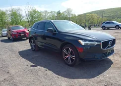 LYV102RK1JB113951: 42169484