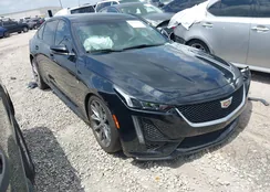 1G6DP5RK7L0154923: 42177217