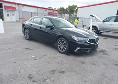 19UUB1F33KA010488: 42180420