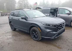 5J6RS6H83SL037005: 42182804