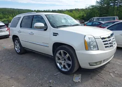 1GYUCCEF5AR268699: 42185565