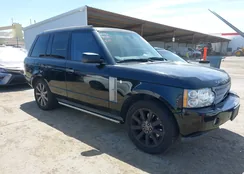 SALMF13417A260263: 42189860