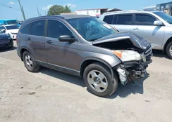 5J6RE3H30BL008703: 42189923