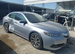 19UUB2F50FA005004: 42190767