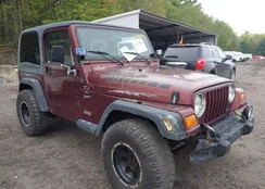 1J4FA49S31P301237: 42191884