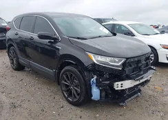 7FART6H53LE006791: 42192518