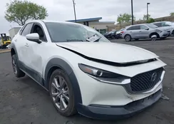 3MVDMACL1LM119080: 42192661