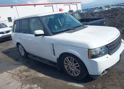 SALME1D49CA376905: 42196194