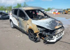 1FMCU0GX9EUC28711: 42198917