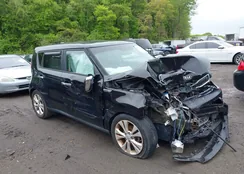 KNDJP3A54E7011318: 42198930