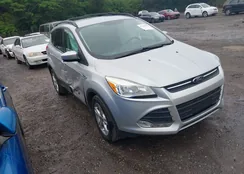 1FMCU0G90DUC99036: 42199699