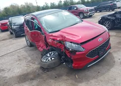 1FMCU9DZ1NUA34474: 42202510