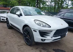 WP1AB2A53FLB65406: 42202535