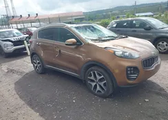 KNDPRCA6XH7205434: 42204009