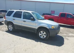 1FMYU93195DA10571: 42204760