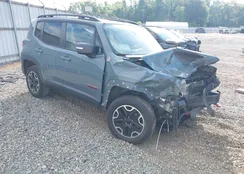 ZACCJBCT7GPD56736: 42207012