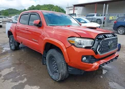 3TMCZ5AN4JM169995: 42223526