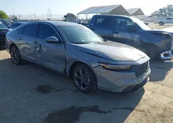 1HGCY2F61RA061766: 42224897