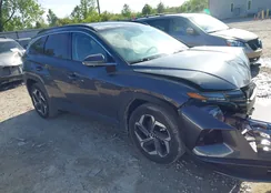 5NMJECDE4RH297445: 42226439