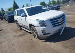 1GYS4BKJ4GR482079: 42226805