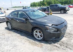 1N4AA5AP9CC867528: 42231783