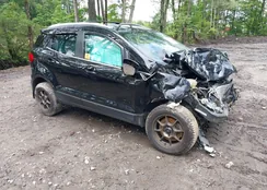 MAJ6P1WLXJC171759: 42234866