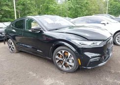 3FMTK3SU7MMA58565: 42236883