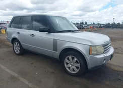 SALME15426A238416: 42236963