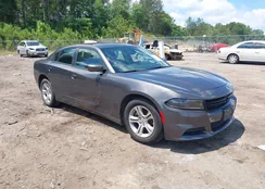 2C3CDXBG3NH250831: 42249273