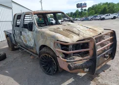 1FT7W2BT1DEB50949: 42253786