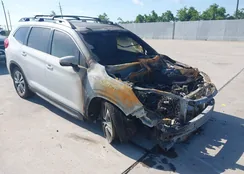 4S4WMAPD9L3434199: 42255264