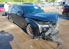 1G6D75RP2N0411100: 42256753