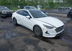 KMHL54JJ9MA021955: 42257209