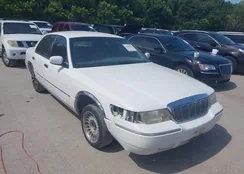 2MEFM75W2YX731383: 42262528