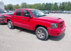 1D7HW48J87S268904: 42263845