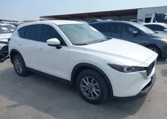 JM3KFBBM9N0630312: 42266500