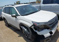 JF2SLSRD6SH405142: 42267829