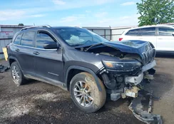 1C4PJMLN2KD132053: 42267878