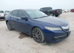 19UUB2F30FA006538: 42270282