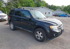 1FMCU9D75BKC01375: 42271052