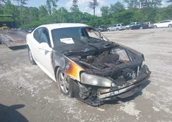 2G2WP552X81132247: 42275880