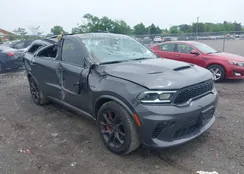 1C4SDJCT0PC695209: 42277316