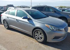 5NPE24AF7GH269393: 42277322