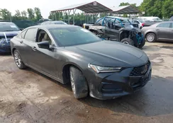 19UUB5F36MA000807: 42286682